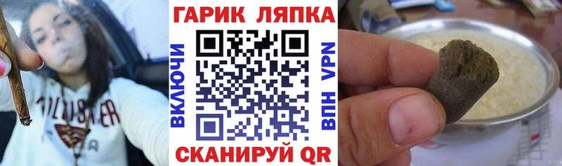 ГАШ Ice-O-Lator  площадка как зайти  Сенгилей 