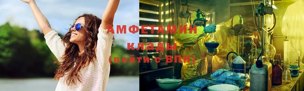 шишки Алексин