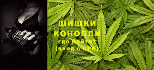 дмт Алзамай