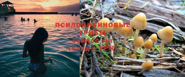 шишки Алексин