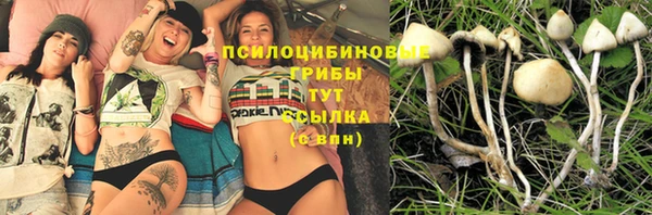 шишки Алексин
