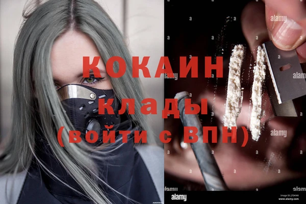 дмт Алзамай
