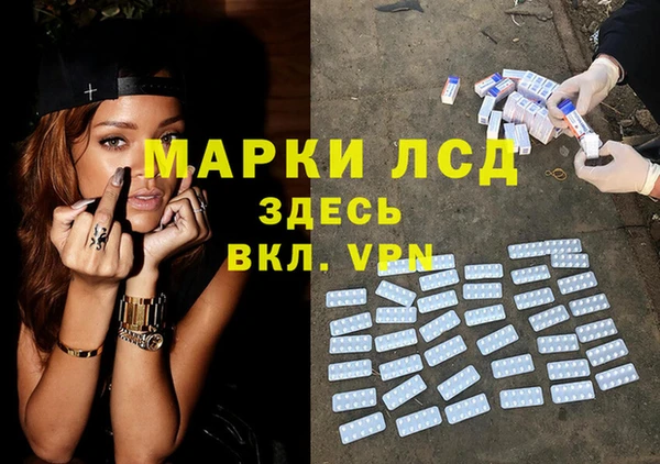 дмт Алзамай