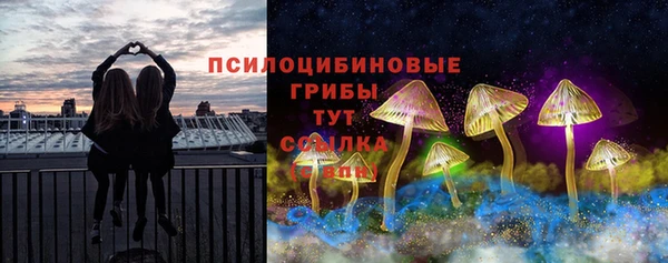 шишки Алексин
