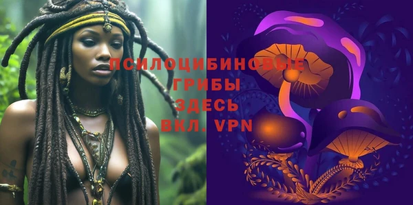 дмт Алзамай